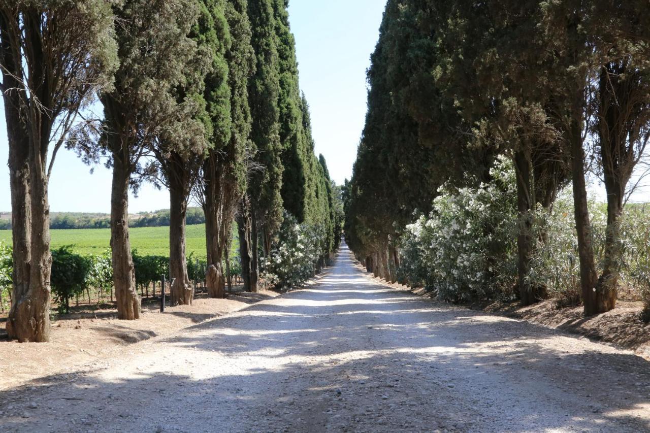 Tenuta Di Pietra Porzia 몬테포르지오카토네 외부 사진