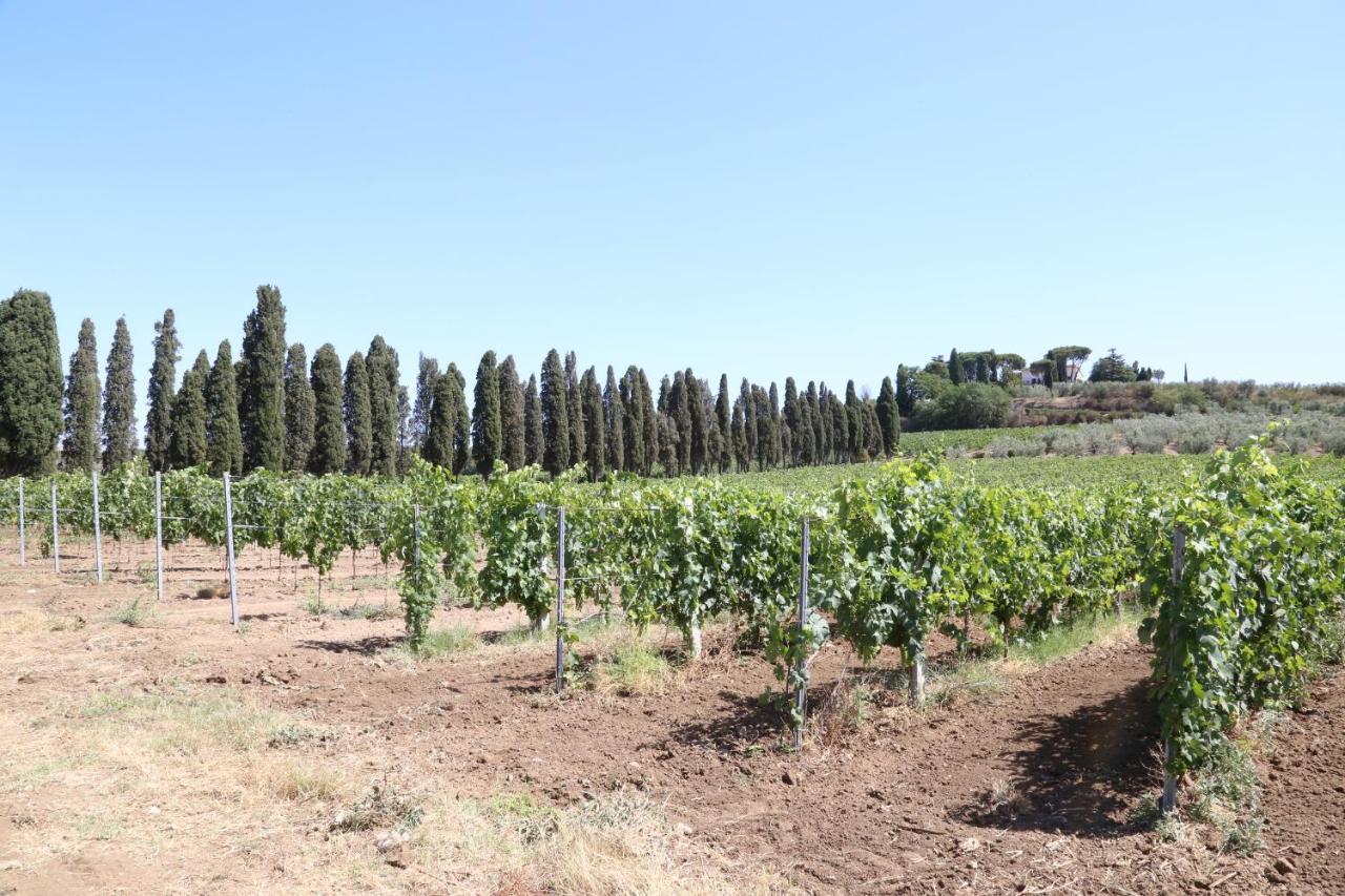 Tenuta Di Pietra Porzia 몬테포르지오카토네 외부 사진